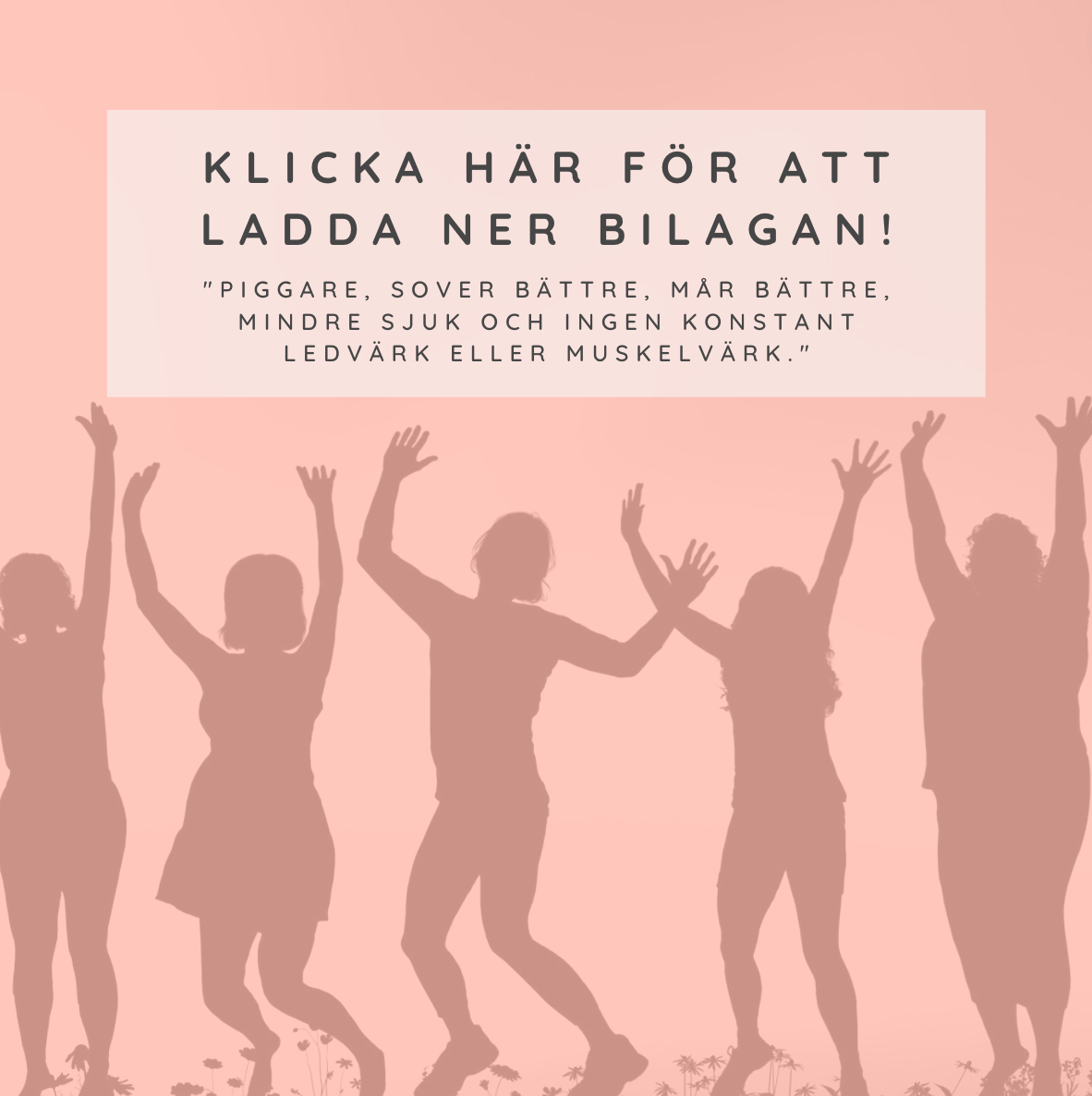 efter explant bilaga