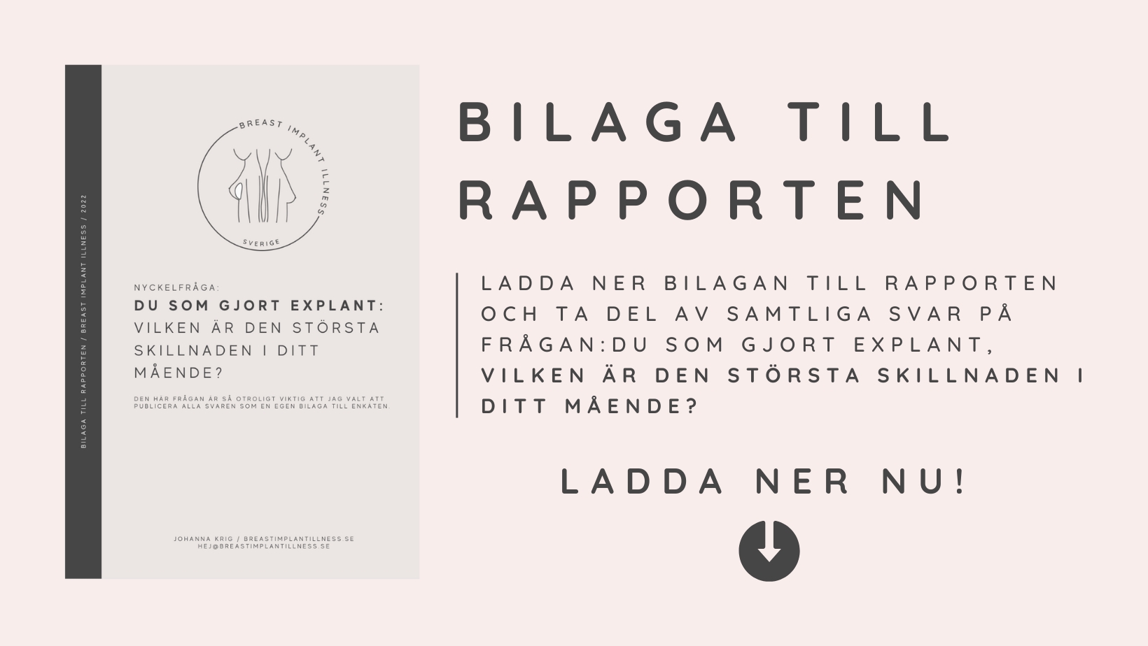 Bilaga rapport om BII
